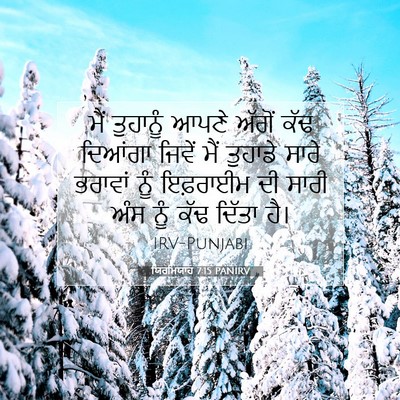 Picture 07 - ਯਿਰਮਿਯਾਹ 7:15 PANIRV - ਮੈਂ ਤੁਹਾਨੂੰ ਆਪਣੇ - Bible Verse Picture