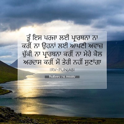 Picture 07 - ਯਿਰਮਿਯਾਹ 7:16 PANIRV - ਤੂੰ ਇਸ ਪਰਜਾ ਲਈ - Bible Verse Picture