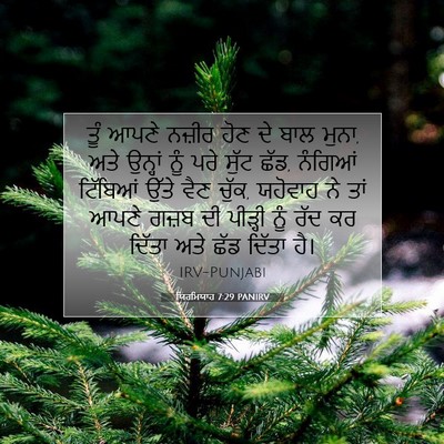 Picture 07 - ਯਿਰਮਿਯਾਹ 7:29 PANIRV - ਤੂੰ ਆਪਣੇ ਨਜ਼ੀਰ ਹੋਣ - Bible Verse Picture