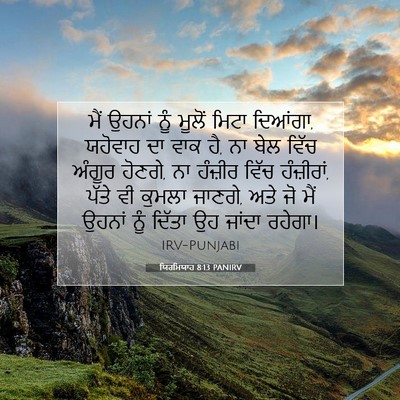 Picture 07 - ਯਿਰਮਿਯਾਹ 8:13 PANIRV - ਮੈਂ ਉਹਨਾਂ ਨੂੰ - Bible Verse Picture