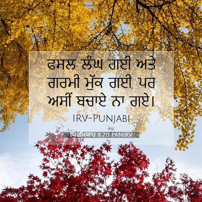Picture 07 - ਯਿਰਮਿਯਾਹ 8:20 PANIRV - ਫਸਲ ਲੰਘ ਗਈ ਅਤੇ ਗਰਮੀ - Bible Verse Picture