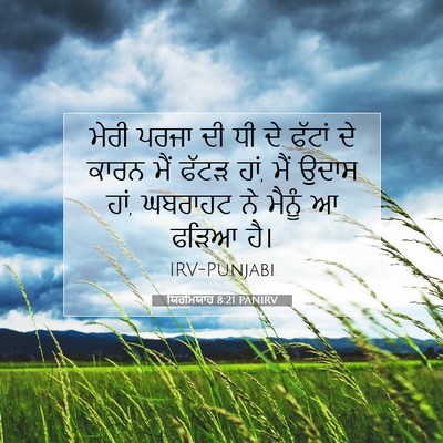 Picture 07 - ਯਿਰਮਿਯਾਹ 8:21 PANIRV - ਮੇਰੀ ਪਰਜਾ ਦੀ ਧੀ ਦੇ - Bible Verse Picture