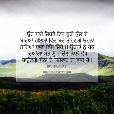 Picture 07 - ਯਿਰਮਿਯਾਹ 8:3 PANIRV - ਉਹ ਸਾਰੇ ਜਿਹੜੇ ਇਸ - Bible Verse Picture