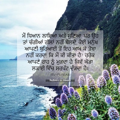 Picture 07 - ਯਿਰਮਿਯਾਹ 8:6 PANIRV - ਮੈਂ ਧਿਆਨ ਲਾਇਆ ਅਤੇ - Bible Verse Picture