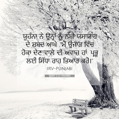Picture 07 - ਯੂਹੰਨਾ 1:23 PANIRV - ਯੂਹੰਨਾ ਨੇ ਉਨ੍ਹਾਂ - Bible Verse Picture