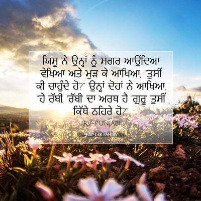 Picture 07 - ਯੂਹੰਨਾ 1:38 PANIRV - ਯਿਸੂ ਨੇ ਉਨ੍ਹਾਂ ਨੂੰ - Bible Verse Picture