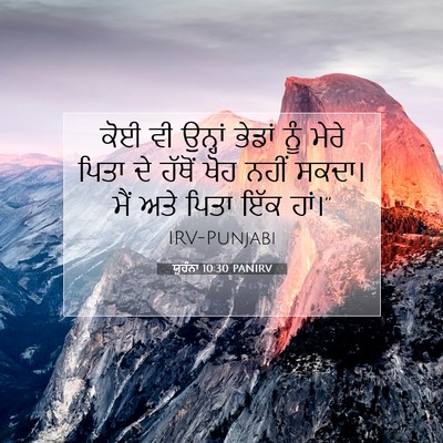 Picture 07 - ਯੂਹੰਨਾ 10:30 PANIRV - ਕੋਈ ਵੀ ਉਨ੍ਹਾਂ - Bible Verse Picture