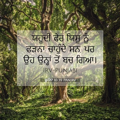 Picture 07 - ਯੂਹੰਨਾ 10:39 PANIRV - ਯਹੂਦੀ ਫੇਰ ਯਿਸੂ ਨੂੰ - Bible Verse Picture