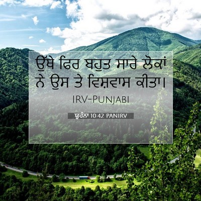 Picture 07 - ਯੂਹੰਨਾ 10:42 PANIRV - ਉੱਥੇ ਫਿਰ ਬਹੁਤ ਸਾਰੇ - Bible Verse Picture