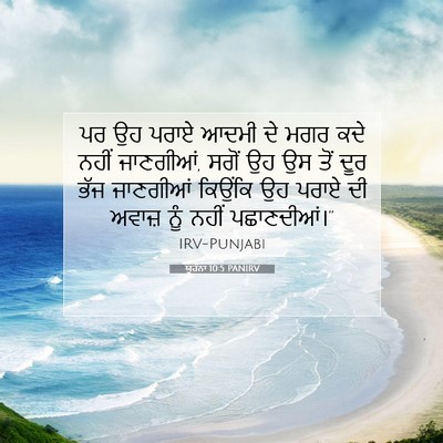 Picture 07 - ਯੂਹੰਨਾ 10:5 PANIRV - ਪਰ ਉਹ ਪਰਾਏ ਆਦਮੀ ਦੇ - Bible Verse Picture
