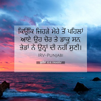 Picture 07 - ਯੂਹੰਨਾ 10:8 PANIRV - ਕਿਉਂਕਿ ਜਿਹੜੇ ਮੇਰੇ - Bible Verse Picture