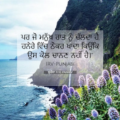 Picture 07 - ਯੂਹੰਨਾ 11:10 PANIRV - ਪਰ ਜੋ ਮਨੁੱਖ ਰਾਤ ਨੂੰ - Bible Verse Picture