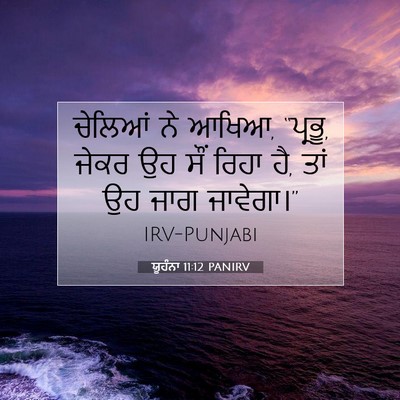 Picture 07 - ਯੂਹੰਨਾ 11:12 PANIRV - ਚੇਲਿਆਂ ਨੇ ਆਖਿਆ, - Bible Verse Picture