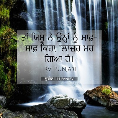 Picture 07 - ਯੂਹੰਨਾ 11:14 PANIRV - ਤਾਂ ਯਿਸੂ ਨੇ ਉਨ੍ਹਾਂ - Bible Verse Picture