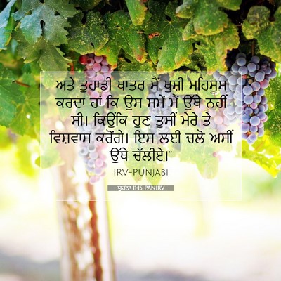 Picture 07 - ਯੂਹੰਨਾ 11:15 PANIRV - ਅਤੇ ਤੁਹਾਡੀ ਖਾਤਰ - Bible Verse Picture