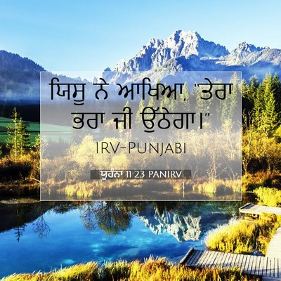 Picture 07 - ਯੂਹੰਨਾ 11:23 PANIRV - ਯਿਸੂ ਨੇ ਆਖਿਆ, “ਤੇਰਾ - Bible Verse Picture