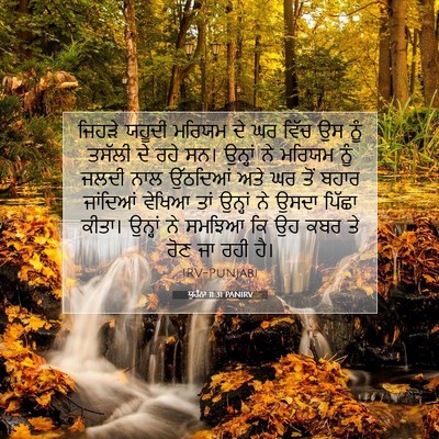Picture 07 - ਯੂਹੰਨਾ 11:31 PANIRV - ਜਿਹੜੇ ਯਹੂਦੀ ਮਰਿਯਮ - Bible Verse Picture