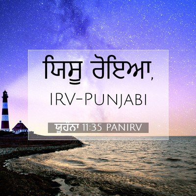 Picture 07 - ਯੂਹੰਨਾ 11:35 PANIRV - ਯਿਸੂ - Bible Verse Picture