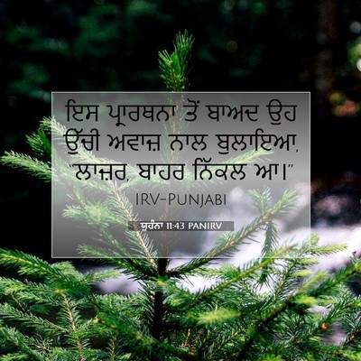 Picture 07 - ਯੂਹੰਨਾ 11:43 PANIRV - ਇਸ ਪ੍ਰਾਰਥਨਾ ਤੋਂ - Bible Verse Picture