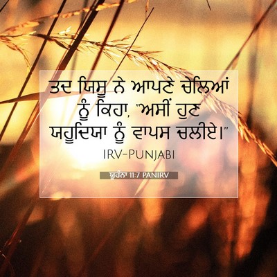 Picture 07 - ਯੂਹੰਨਾ 11:7 PANIRV - ਤਦ ਯਿਸੂ ਨੇ ਆਪਣੇ - Bible Verse Picture