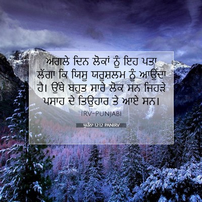 Picture 07 - ਯੂਹੰਨਾ 12:12 PANIRV - ਅਗਲੇ ਦਿਨ ਲੋਕਾਂ ਨੂੰ - Bible Verse Picture