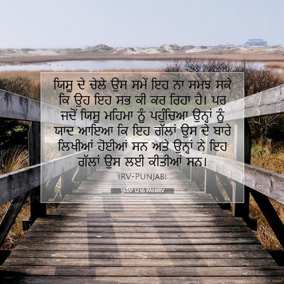 Picture 07 - ਯੂਹੰਨਾ 12:16 PANIRV - ਯਿਸੂ ਦੇ ਚੇਲੇ ਉਸ - Bible Verse Picture