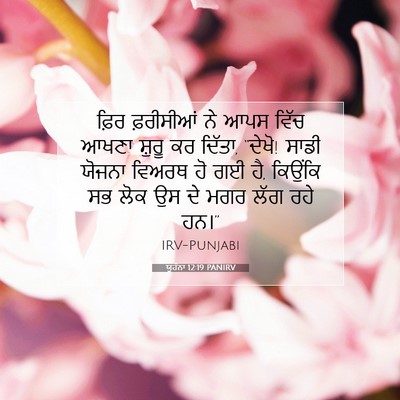 Picture 07 - ਯੂਹੰਨਾ 12:19 PANIRV - ਫ਼ਿਰ ਫ਼ਰੀਸੀਆਂ ਨੇ - Bible Verse Picture