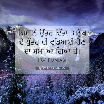 Picture 07 - ਯੂਹੰਨਾ 12:23 PANIRV - ਯਿਸੂ ਨੇ ਉੱਤਰ ਦਿੱਤਾ, - Bible Verse Picture