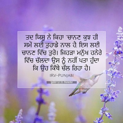 Picture 07 - ਯੂਹੰਨਾ 12:35 PANIRV - ਤਦ ਯਿਸੂ ਨੇ ਕਿਹਾ - Bible Verse Picture