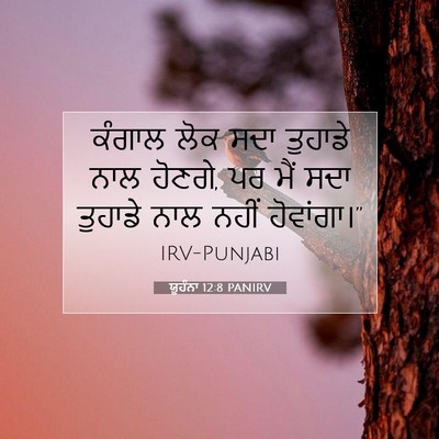 Picture 07 - ਯੂਹੰਨਾ 12:8 PANIRV - ਕੰਗਾਲ ਲੋਕ ਸਦਾ - Bible Verse Picture