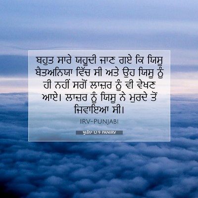 Picture 07 - ਯੂਹੰਨਾ 12:9 PANIRV - ਬਹੁਤ ਸਾਰੇ ਯਹੂਦੀ - Bible Verse Picture