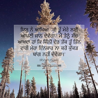 Picture 07 - ਯੂਹੰਨਾ 13:38 PANIRV - ਯਿਸੂ ਨੇ ਆਖਿਆ, “ਕੀ - Bible Verse Picture