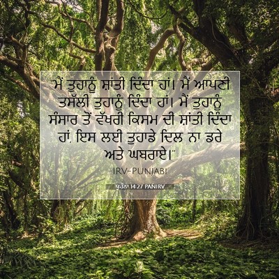 Picture 07 - ਯੂਹੰਨਾ 14:27 PANIRV - “ਮੈਂ ਤੁਹਾਨੂੰ - Bible Verse Picture