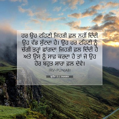 Picture 07 - ਯੂਹੰਨਾ 15:2 PANIRV - ਹਰ ਉਹ ਟਹਿਣੀ ਜਿਹੜੀ - Bible Verse Picture