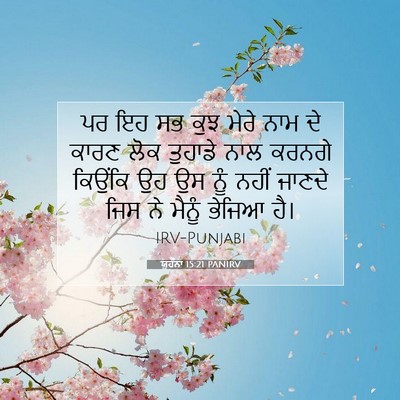 Picture 07 - ਯੂਹੰਨਾ 15:21 PANIRV - ਪਰ ਇਹ ਸਭ ਕੁਝ ਮੇਰੇ - Bible Verse Picture