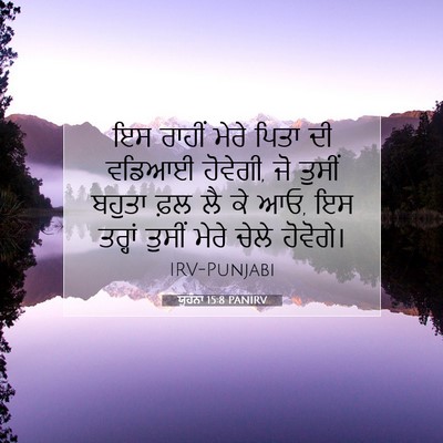 Picture 07 - ਯੂਹੰਨਾ 15:8 PANIRV - ਇਸ ਰਾਹੀਂ ਮੇਰੇ ਪਿਤਾ - Bible Verse Picture