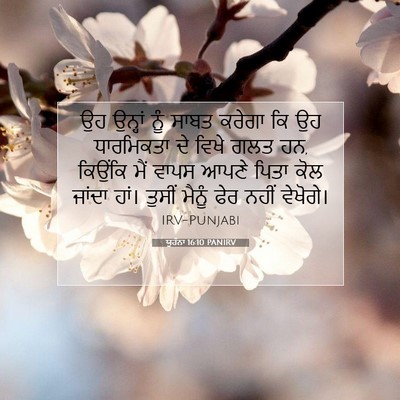 Picture 07 - ਯੂਹੰਨਾ 16:10 PANIRV - ਉਹ ਉਨ੍ਹਾਂ ਨੂੰ ਸਾਬਤ - Bible Verse Picture