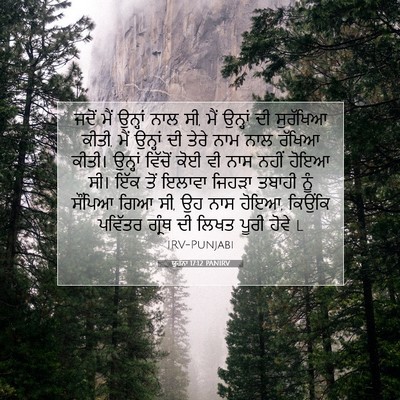 Picture 07 - ਯੂਹੰਨਾ 17:12 PANIRV - ਜਦੋਂ ਮੈਂ ਉਨ੍ਹਾਂ - Bible Verse Picture
