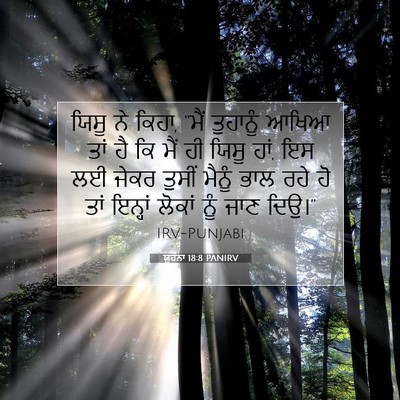 Picture 07 - ਯੂਹੰਨਾ 18:8 PANIRV - ਯਿਸੂ ਨੇ ਕਿਹਾ, “ਮੈਂ - Bible Verse Picture
