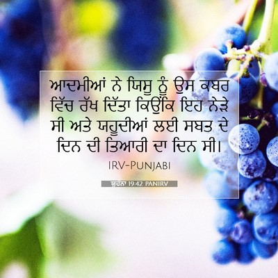 Picture 07 - ਯੂਹੰਨਾ 19:42 PANIRV - ਆਦਮੀਆਂ ਨੇ ਯਿਸੂ ਨੂੰ - Bible Verse Picture