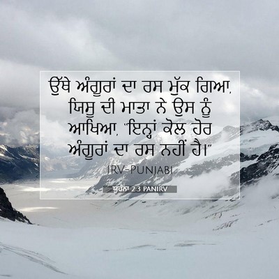 Picture 07 - ਯੂਹੰਨਾ 2:3 PANIRV - ਉੱਥੇ ਅੰਗੂਰਾਂ ਦਾ ਰਸ - Bible Verse Picture