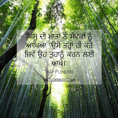 Picture 07 - ਯੂਹੰਨਾ 2:5 PANIRV - ਯਿਸੂ ਦੀ ਮਾਤਾ ਨੇ - Bible Verse Picture