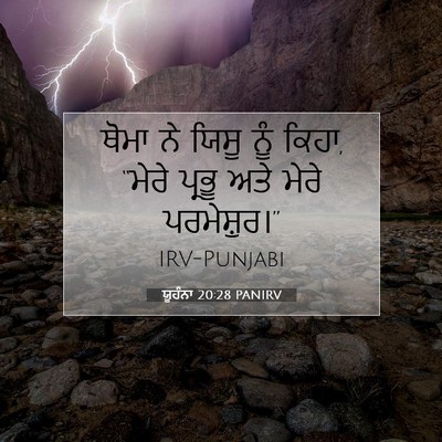 Picture 07 - ਯੂਹੰਨਾ 20:28 PANIRV - ਥੋਮਾ ਨੇ ਯਿਸੂ ਨੂੰ - Bible Verse Picture