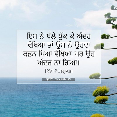 Picture 07 - ਯੂਹੰਨਾ 20:5 PANIRV - ਇਸ ਨੇ ਥੱਲੇ ਝੁੱਕ ਕੇ - Bible Verse Picture