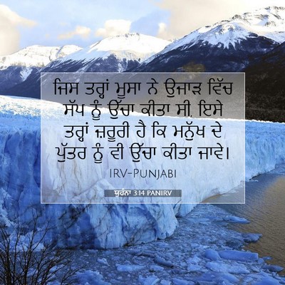 Picture 07 - ਯੂਹੰਨਾ 3:14 PANIRV - ਜਿਸ ਤਰ੍ਹਾਂ ਮੂਸਾ ਨੇ - Bible Verse Picture