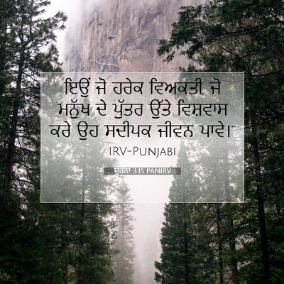 Picture 07 - ਯੂਹੰਨਾ 3:15 PANIRV - ਇਉਂ ਜੋ ਹਰੇਕ ਵਿਅਕਤੀ, - Bible Verse Picture
