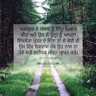 Picture 07 - ਯੂਹੰਨਾ 3:16 PANIRV - ਪਰਮੇਸ਼ੁਰ ਨੇ ਸੰਸਾਰ - Bible Verse Picture
