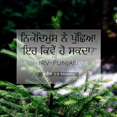 Picture 07 - ਯੂਹੰਨਾ 3:9 PANIRV - ਨਿਕੋਦਿਮੁਸ ਨੇ - Bible Verse Picture