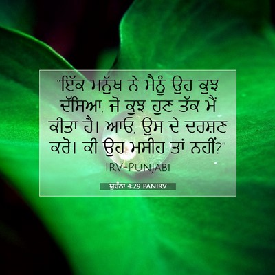 Picture 07 - ਯੂਹੰਨਾ 4:29 PANIRV - “ਇੱਕ ਮਨੁੱਖ ਨੇ - Bible Verse Picture