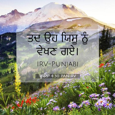 Picture 07 - ਯੂਹੰਨਾ 4:30 PANIRV - ਤਦ ਉਹ ਯਿਸੂ ਨੂੰ ਵੇਖਣ - Bible Verse Picture